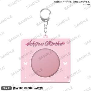 
Bilibili BushiroadCreative hololive DEV_ISNEW WAVE Badge Keychain