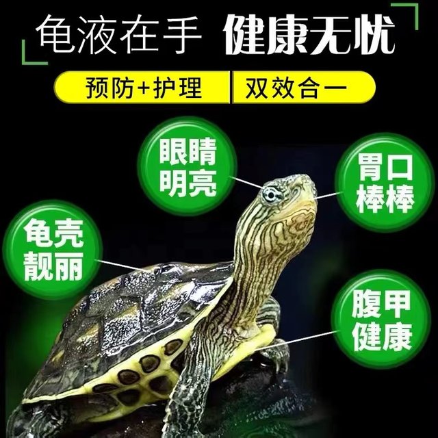 Turtle Protector All-Purpose Turtle Protector Brazilian Turtle Turtle ...