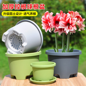 Hippeastrum bulb pot, short and fat flower pot, large-diameter plastic flower pot, green dill potted plant, special pot for indoor flowers and green plants