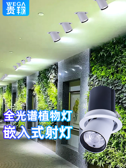 Wega 21-30W Full Spectrum LED Plant Growth Light - Agave & Rainforest Tank Indoor  Spotlight