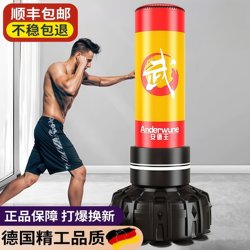Ande King Boxing Punching Bag Standing Home Training Equipment for Adults and Children, Sandbag Tumbler Professional