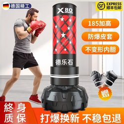 Boxing Punching Bag, Home-Use Freestanding Sandbag, Training Equipment for Adults, Martial Arts, Children, Professional Indoor Fighting