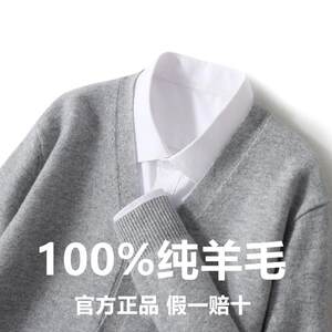 
100% pure wool sweater men's cardigan coat loose V-neck sweater spring and autumn high-end new knitted bottoming cashmere sweater