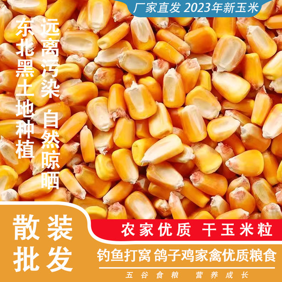 
Corn kernels, commercial pigeon food, dry corn kernels, mold-free chicken, duck and goose feed for fishing and nesting, farmhouse corn kernels