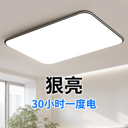 Led Living Room Ceiling Light Ultra-Thin Led Modern Simple and Elegant Room Bedroom Light Dining Room Hall Light Zhongshan Lighting Fixtures