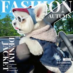 Petcircle Pet Clothes, Dog and Cat Apparel, Stylish and Cute Rock-Style Denim Clothing Collection