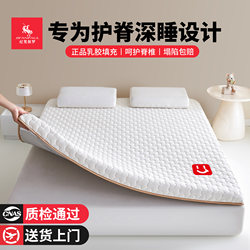 Latex Mattress for Home Bedroom, Soft Cushion, Tatami, Special for Rental, Thickened Sponge, Dormitory Student Single Mattress