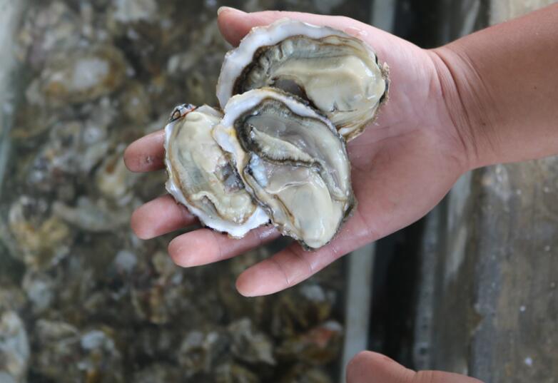 给味蕾来一次惊喜,美味生鲜吃个爽(图2) 给味蕾来一次惊喜,美味生鲜吃个爽(图2)