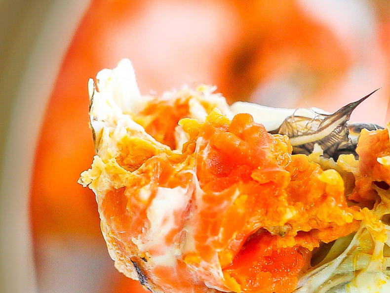 喜迎金秋赠佳礼,就选福岁乐阳澄湖大闸蟹(图2) 喜迎金秋赠佳礼,就选福岁乐阳澄湖大闸蟹(图2)