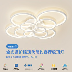 Living Room Lamp, Elegant, Modern, Simple, Nordic, Creative, Personalized Lighting, French-Style Circular White Ceiling Lamp for the Hall