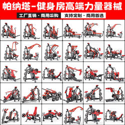 Panatta Equipment, Panatta Fitness Equipment, Complete Set of Gym-Specific Equipment, Back, Leg, and Chest Fitness Equipment