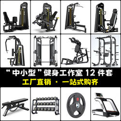 Fitness Equipment, Gym-Specific Equipment, a Complete Set of Commercial Butterfly Machines, Chest Press Machines, Hack Squat Machines, and Training Devices