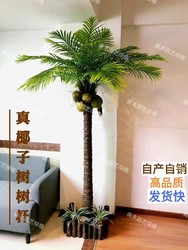 Simulated Coconut Tree, Artificial Tree for Indoor and Outdoor Use, Hotel and Shopping Mall Decoration, Real Tree Trunk, Coconut Tree, Palm Tree, Floor-Standing Plant