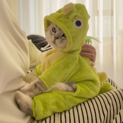 Cat clothes cute dinosaur plus velvet four-legged clothes winter