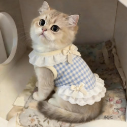 Cat Clothes Spring and Summer Thin Vest Anti-Shedding Silver Gradient Ragdoll Dog Clothes Bow Lace Vest