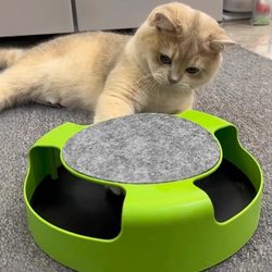 Cat Toys for Self-Entertainment, Cat Teaser Wand, Cat Turntable, Mouse, Interactive Gadget for Kittens, Pet Supplies for Small Cats