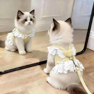 猫咪牵引绳甜美翅膀爱心牵引裙防挣脱专用遛猫胸背带幼猫宠物用品