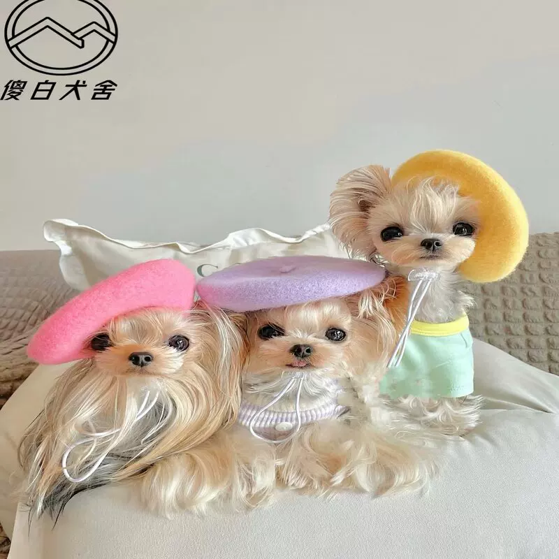 纯种长毛约克夏梗犬金色金头银黑背幼犬