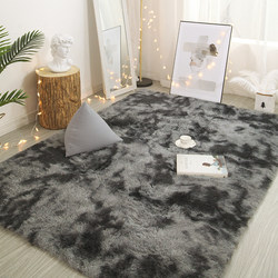 Carpet for Bedroom and Living Room 2025 New Model Bedside Rug Floor Mat High-Grade Thickened Mat for Home Girl's Room Coffee Table Rug