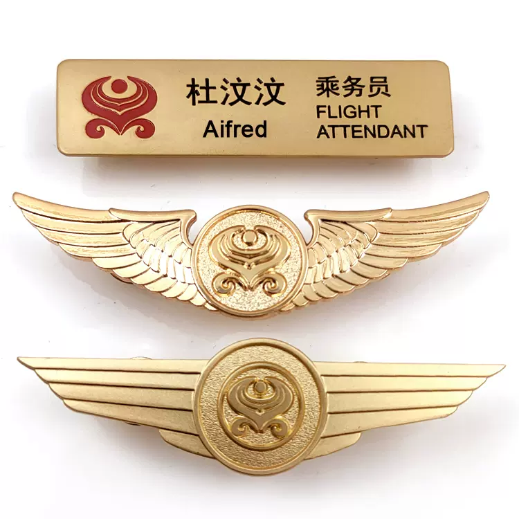 正品海南航空铭牌徽章飞行员胸牌空姐胸针机长胸章翅膀纪念章适用-Taobao