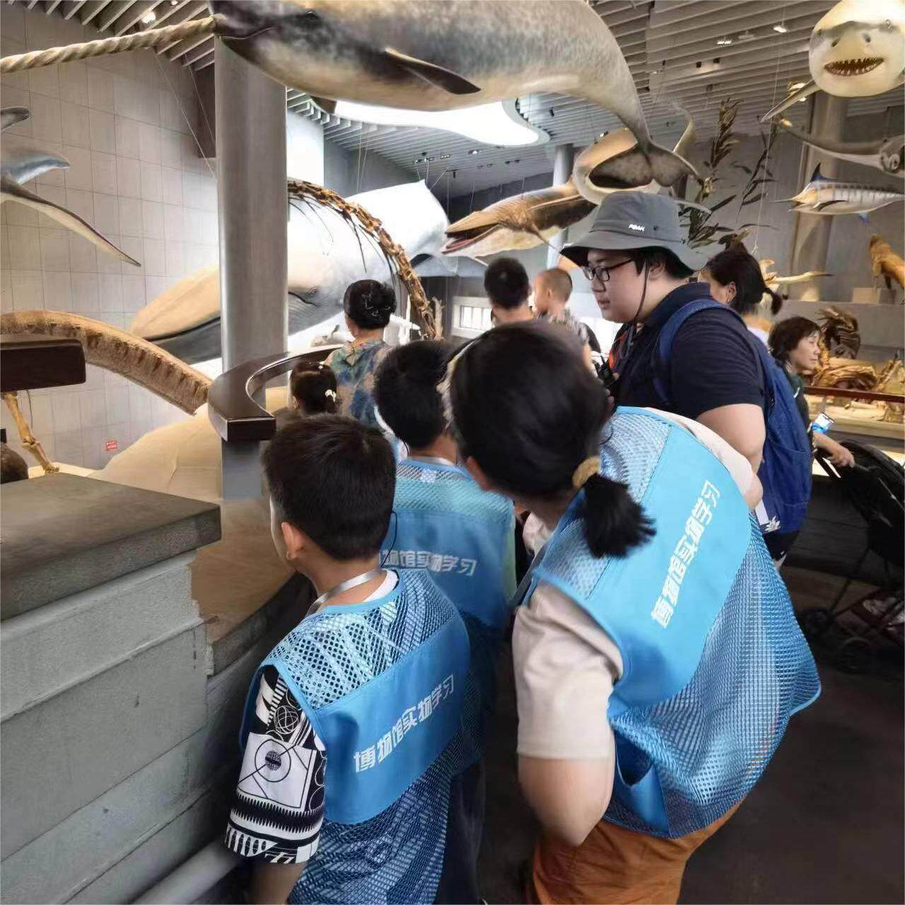 上海自然博物馆一日游|博物馆学专业老师讲解2小时精品课程