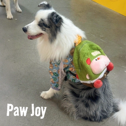 Dog Backpack for Large Dogs, a Portable Snack Backpack for Samoyeds, Golden Retrievers, and Other Breeds