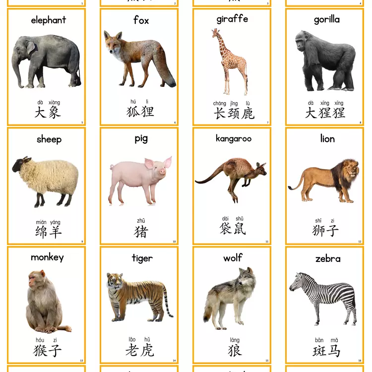 動物英文認知卡片幼兒英語識漢字教師具單字閃卡兒童早教益智玩具 Taobao