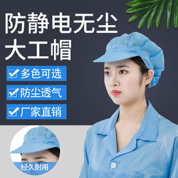 Dust-Proof and Anti-Static Hat, Hard Brim, Unisex, for Clean Room Workshop, White, Blue, Pink, Yellow, Gray, Shawl Hat, Work Hat