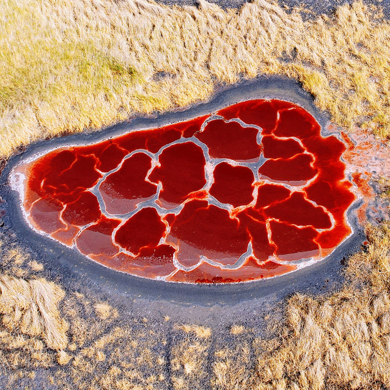 银川五湖穿越一日游中卫腾格里沙漠乌兰湖宁夏亲子旅游私家团内蒙