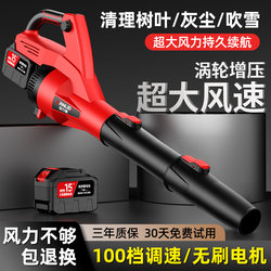 Lithium Battery-Powered Powerful Blower, High-Power Industrial Electric Blower, Dust Removal and Snow Removal Tool