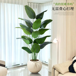Artificial Plant Traveler's Banana Tree for Living Room, High-End Bionic Green Plant Ornament, Indoor Potted Plant, Large Decorative Fake Tree, Artificial Tree