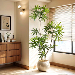 Peacock Wood Artificial Green Plant, High-End Light Luxury Living Room Bionic Fake Plant, Indoor Large Floor-Standing Potted Plant Decoration Ornament