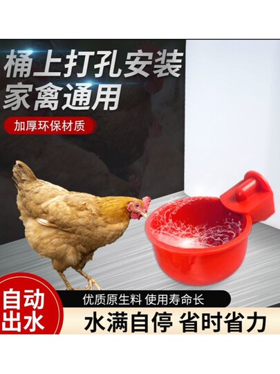Mangeoire à Volaille Métal Anti-gaspi - Pour Poules, Poussins, Canards, Cailles, Acier Inoxydable - 10