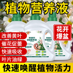 Nutrient solution plant universal flower fertilizer household potted money tree rich bamboo green dill hydroponic flower green plant fertilizer