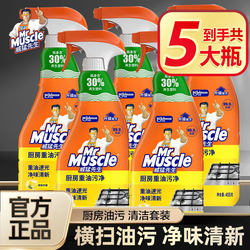 Mr. Mighty Kitchen Grease Cleaner Daily Oil Stain Remover Household Range Hood Cleaning Agent Official Flagship Store