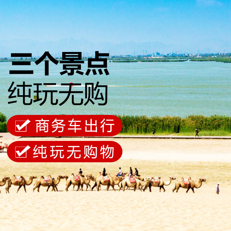 宁夏银川一日游旅游沙湖+影视城+贺兰山岩画2-6人小团纯玩含门票