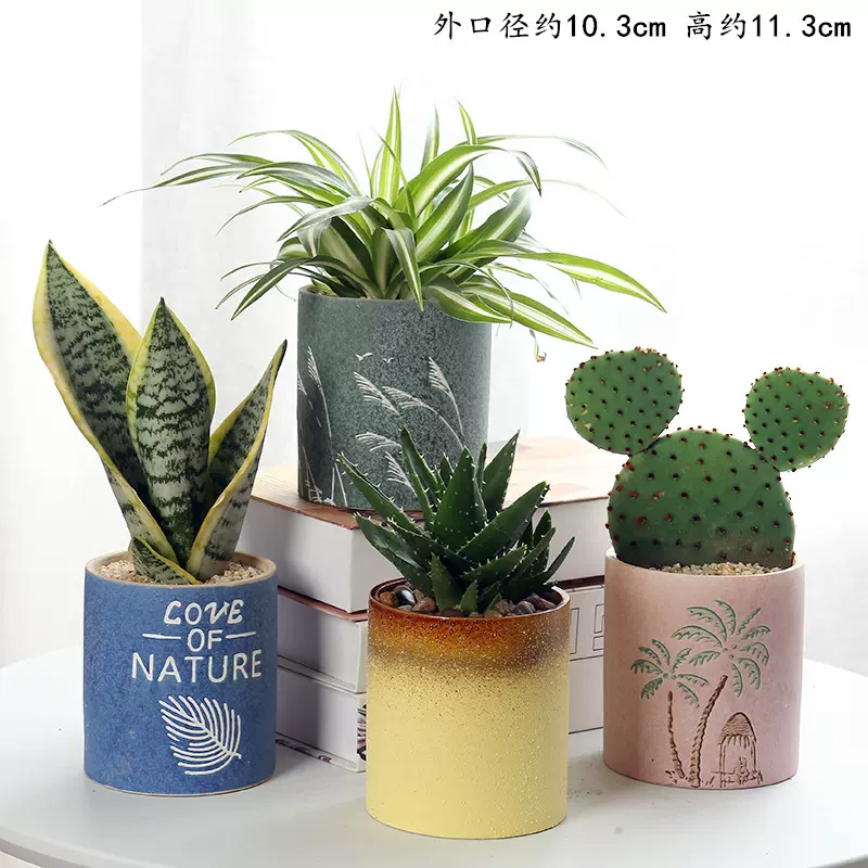 多肉花盆陶瓷大号特价清仓透气创意室内肉肉植物小花