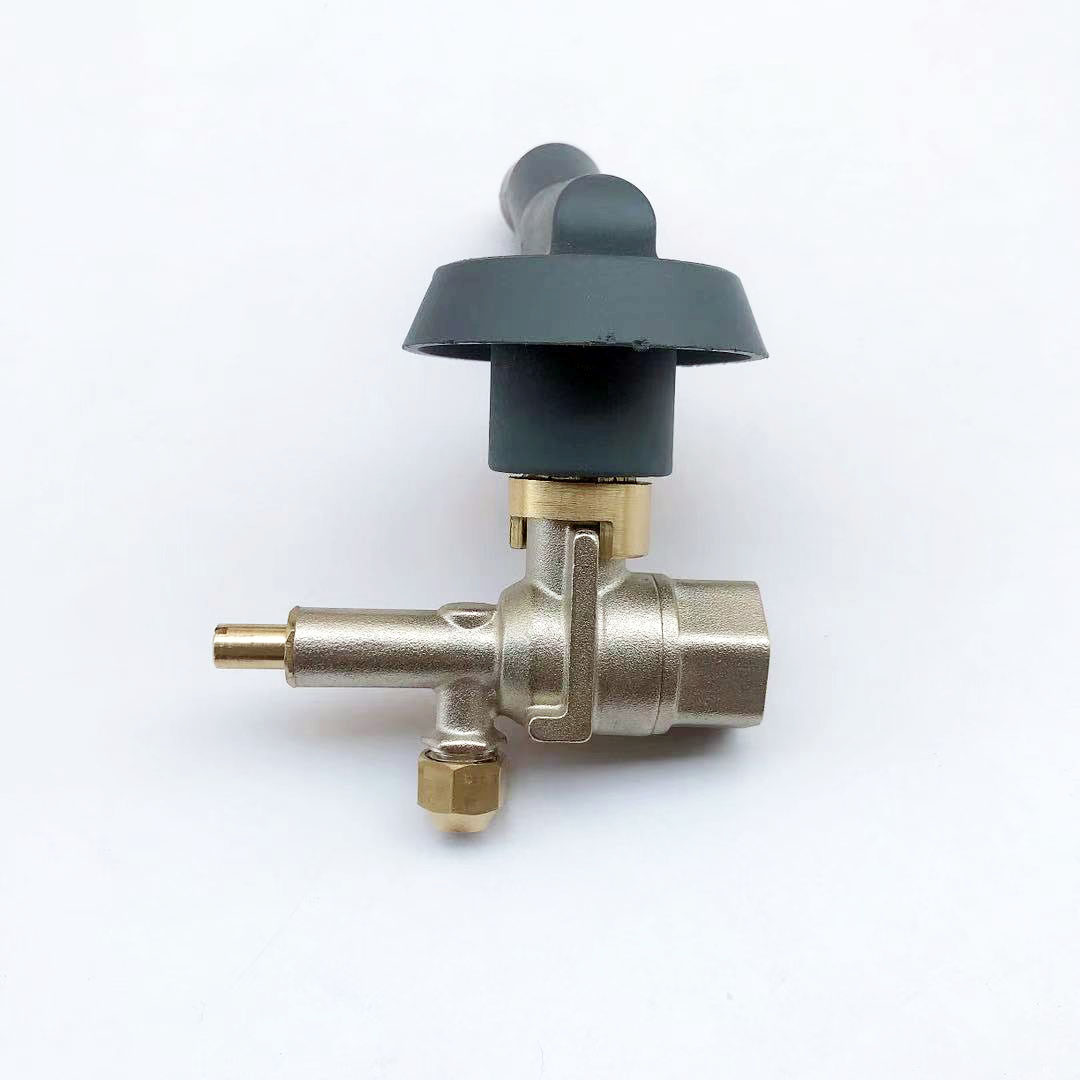 天然气灶配件长明火微调点火器火种阀限流开关厨具