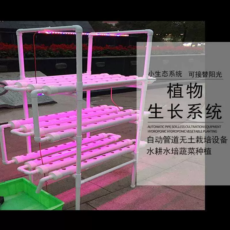 の前で集中的なやむを得ない水耕栽培led 色ヒップ迷路フェデレーション