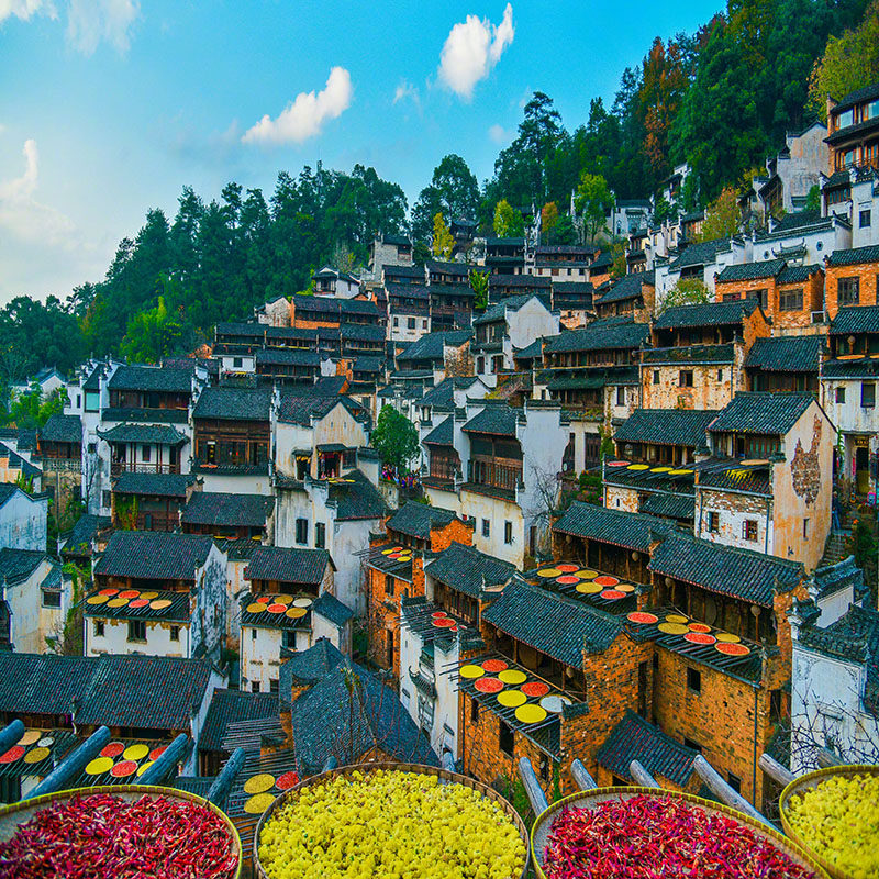 江西游【私家团】望仙谷婺源篁岭景德镇南昌滕王阁4天3晚高品线路