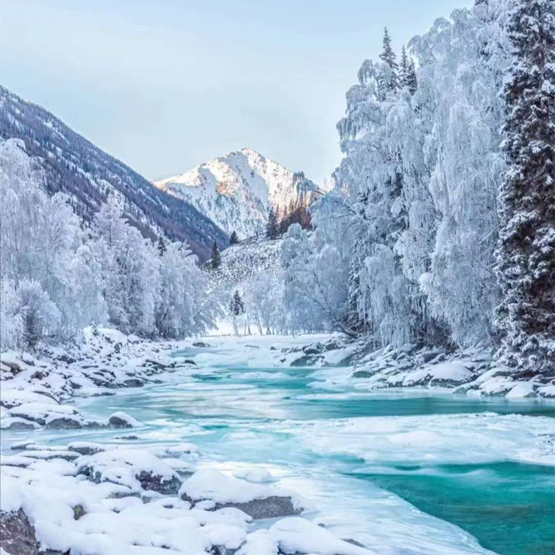 【冬韵北疆】新疆旅游阿勒泰跟团喀纳斯宿禾木赛里木湖旅行8日游