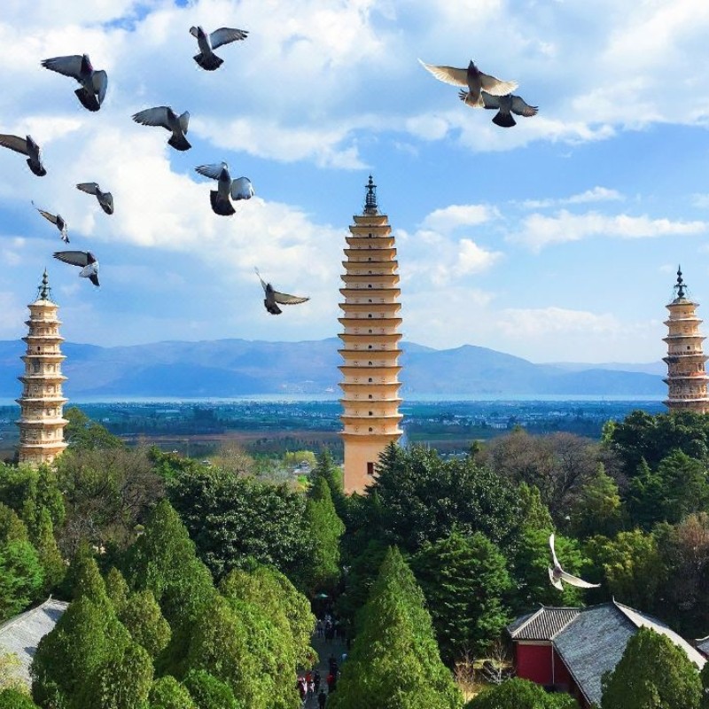 专车自由行|云南旅游大理一地4日3晚自由行&独立专车+网红打卡