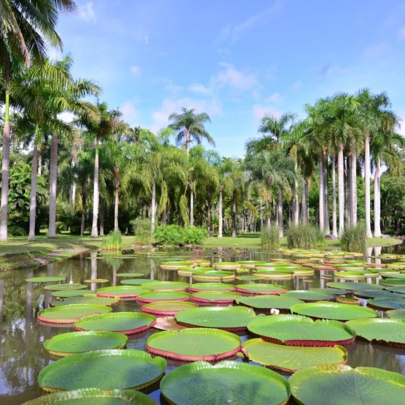 专车自由行|云南西双版纳1地4天3晚体验异域风情&独立专车&1单1车
