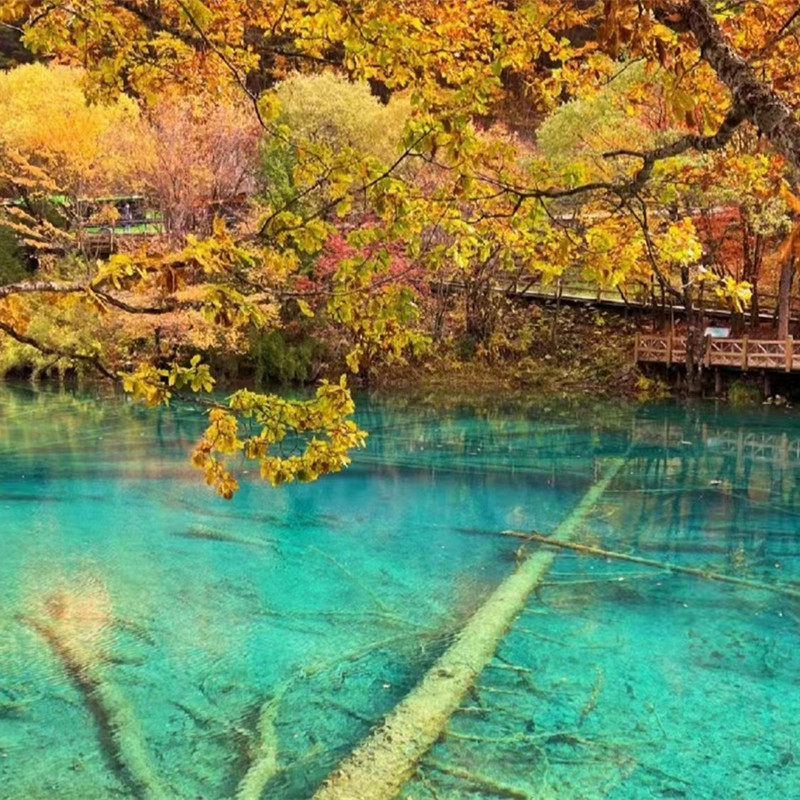 2-8人保姆车小团三星堆 熊猫基地 九寨沟纯玩二日游2天一晚跟团游