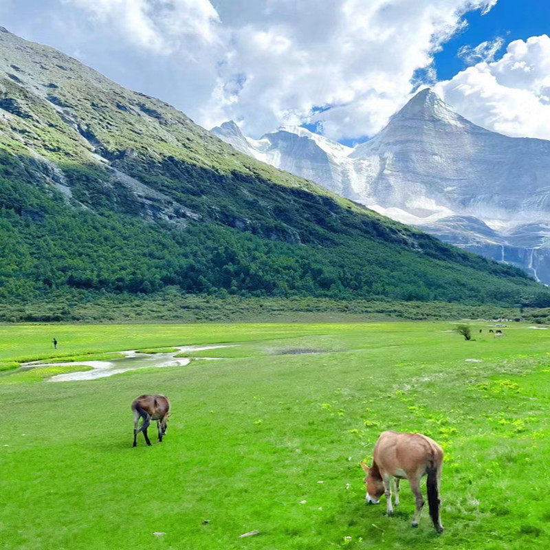 2-8人小团稻城亚丁色达四姑娘山 格聂之眼7天6晚纯玩跟团游