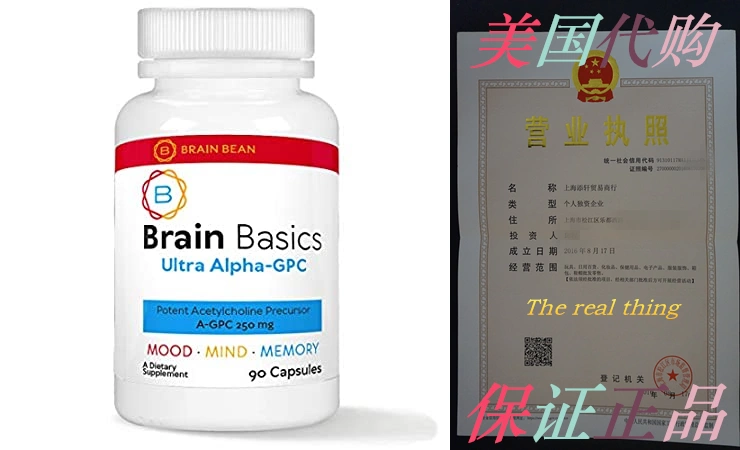 Brain Basics Ultra Alpha-GPC, 500 mg A-GPC