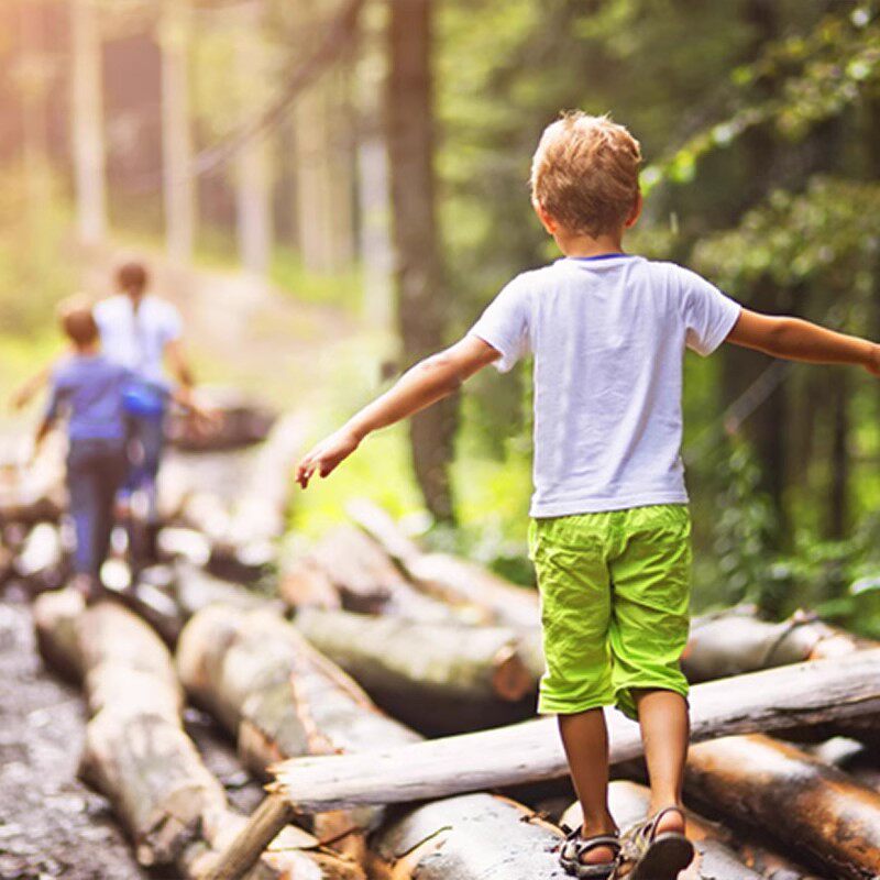 包机票住五星|云南西双版纳旅游6天5晚跟团游植物园父母亲子旅行