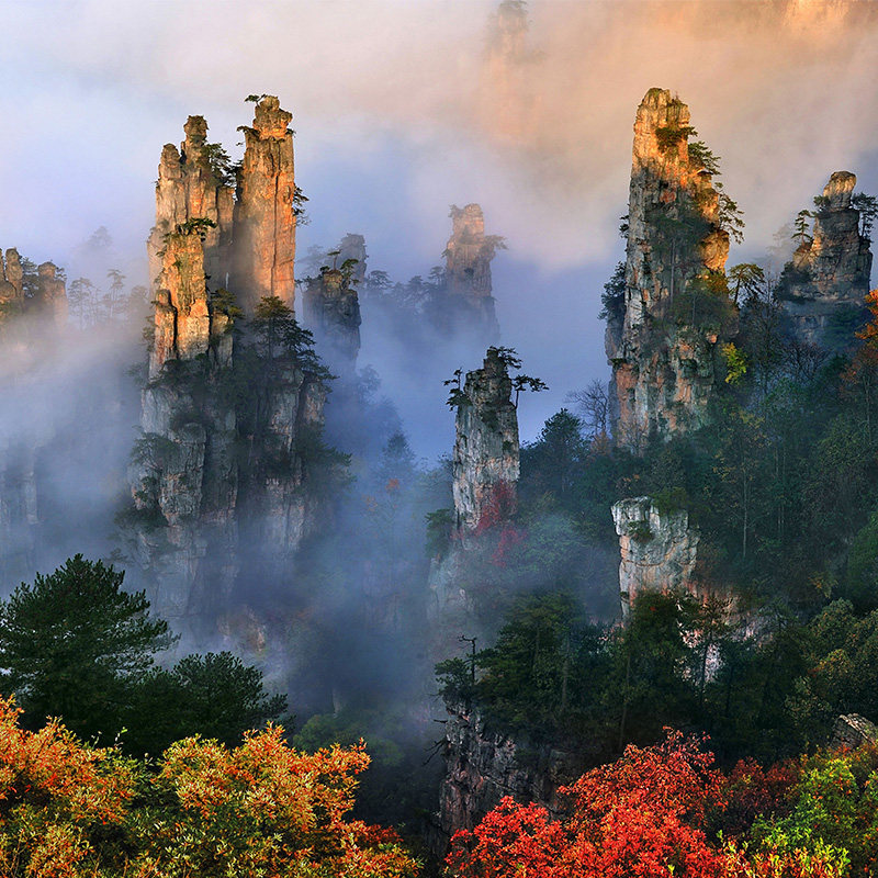 杭州等多地出发长沙张家界旅游5天4晚跟团游森林公园天门山凤凰