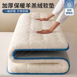 Super Warm Lamb Wool Mattress for Home Bedroom Autumn and Winter Thickened Mattress Pad Milk Velvet Special for Rental Dormitories