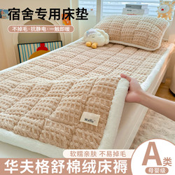 Cream Dormitory Autumn and Winter Milk Velvet Bed Sheet Thickened Non-Slip Mattress Pad Three-Piece Set Home Warm Soft Cushion for Students